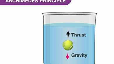 What is Archimedes Principle explain with example?