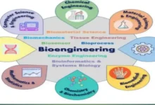 Biomedical engineering degree | best degrees for the future