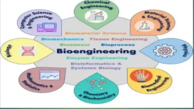 Biomedical engineering degree | best degrees for the future