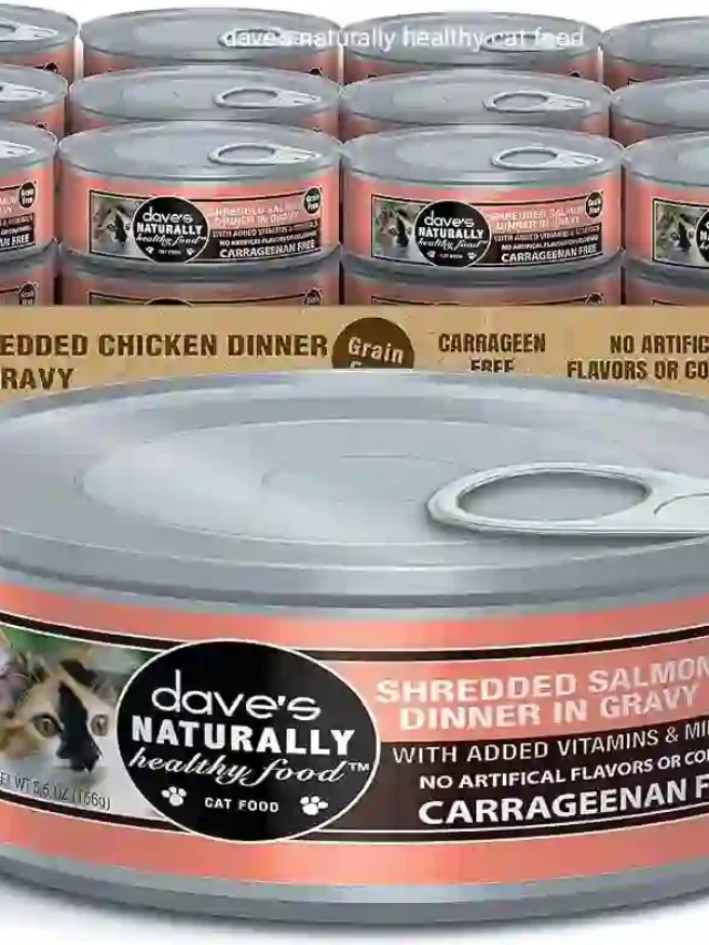Dave’s Naturally Healthy Cat Food